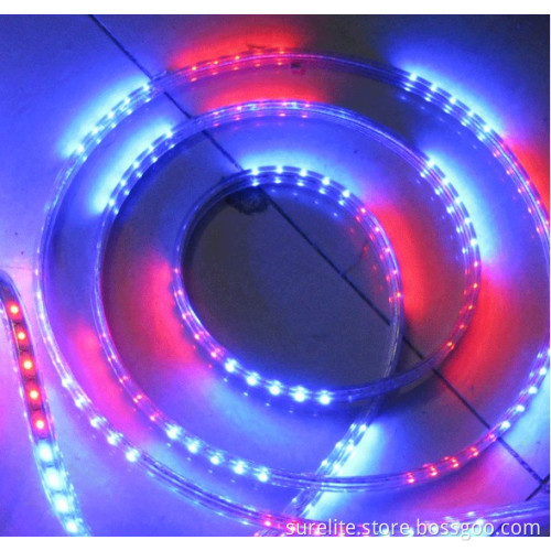 LED Flexible Light 5050 RGB Waterproof 220V
